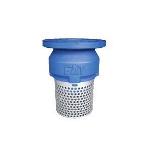FMT Foot Valve Cst Iron 2''