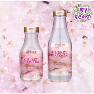 Beaver Cherry Blossom Shampoo 350/730 ml แชมพู บำรุงรากผม