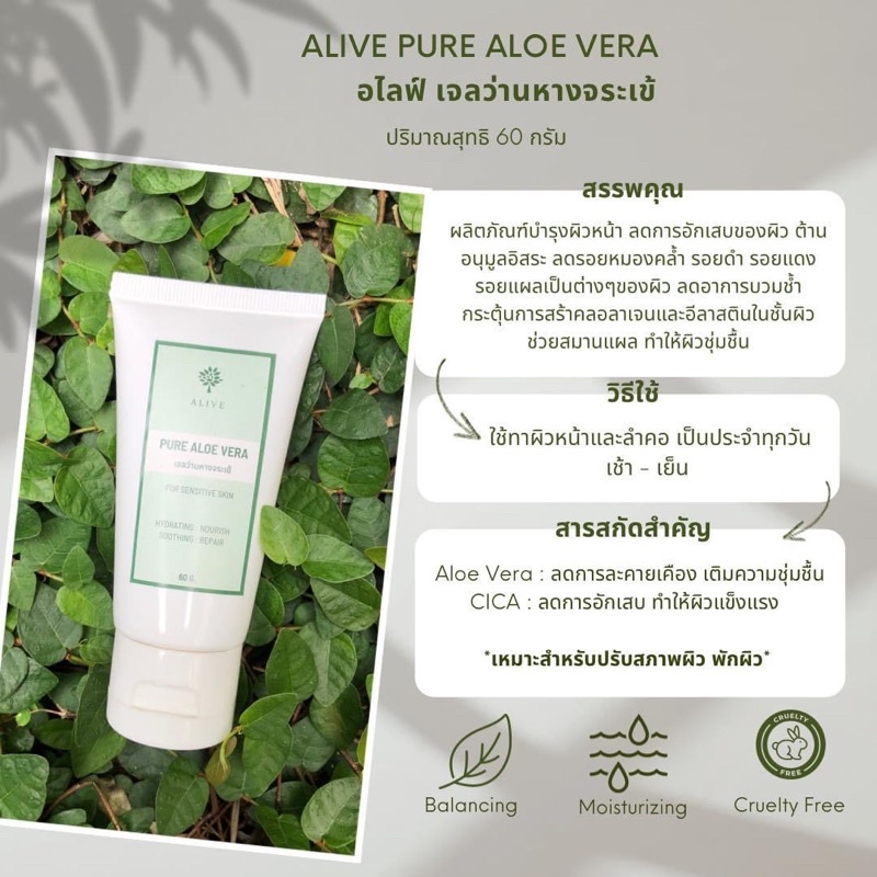 อโลเวล่าเจล ว่านหางจระเข้🌵ALIVE  99.9% Pure Aloe Vera Moisturizing & Soothing Gel