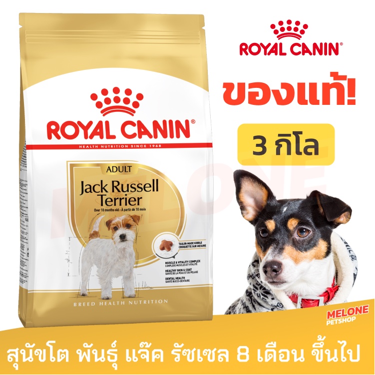 Royal Canin Jack Russell Terrier Adult รอยัลคานิน แจ็ค รัสเซล อาหารสุนัข สุนัขโต ขนาด 3 kg