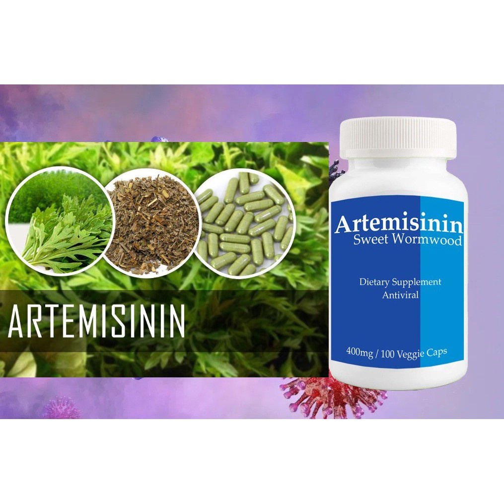 ☒✆แชเฮาก/ชิงเฮา Artemisinin annua L.Artemisinin1กระปุก พร้อมส่ง