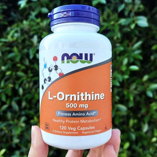 แอลออร์นิทีน L-Ornithine 500 mg 120 Veg Capsules (Now Foods®)