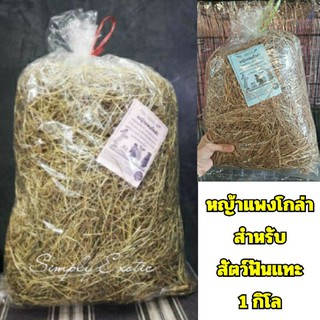 หญ้าแพงโกล่า ไร้ฝุ่น หญ้าแพงโกล่าแห้ง หญ้าใหม่ หญ้าสำหรับสัตว์ฟันแทะกิน แทะเล่น และทำรัง (ถุงใหญ่1กิโล)