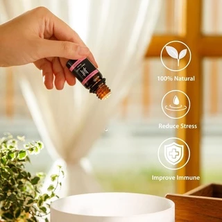 Hanky House น้ำมันหอมระเหย สกัดธรรมชาติ 10มล Aroma Pure Essential Oil น้ำมันหอม น้ำหอมอโรม่า น้ำมัน อโรม่า EO