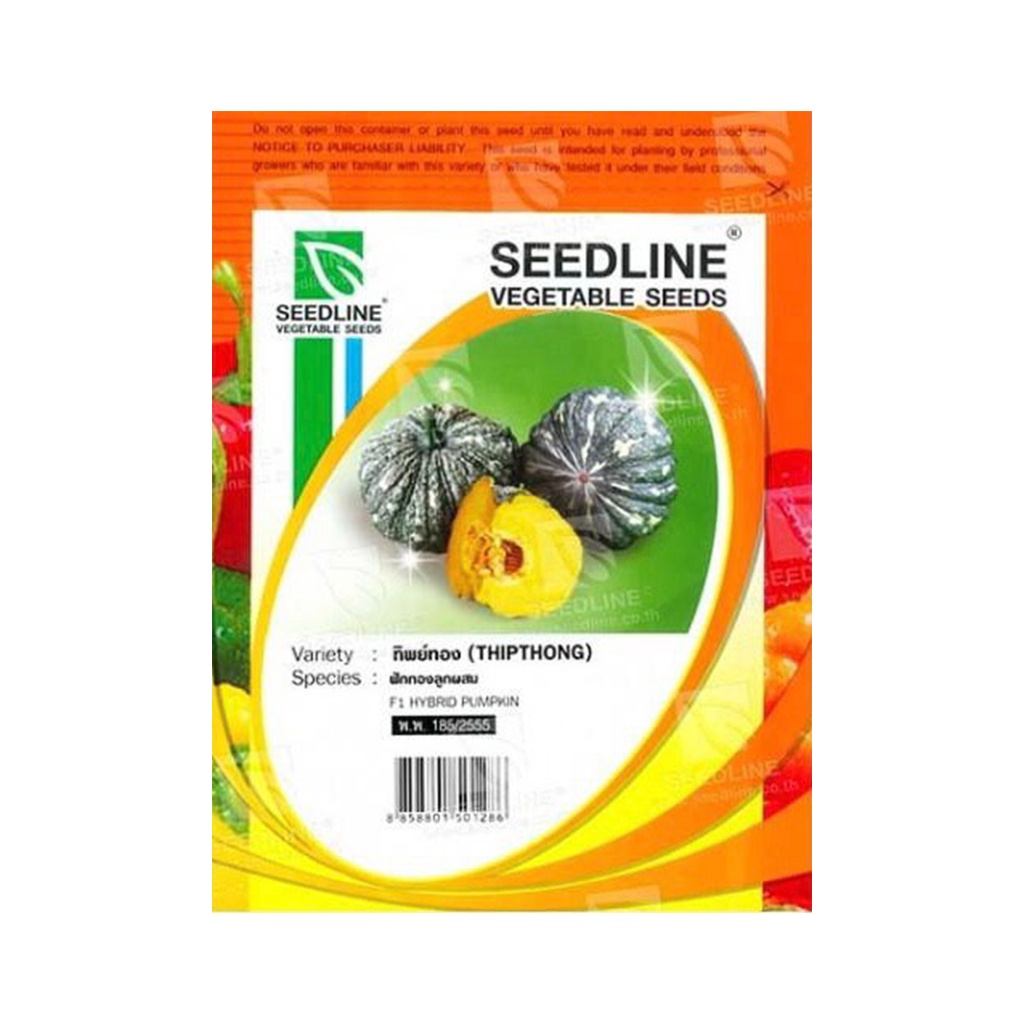 (พร้อมส่ง) SEEDLINE - เมล็ดฟักทองลูกผสม (ทิพย์ทอง)