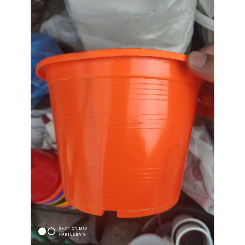 กระถางสีพาสเทล คละสี แพคละ 10 ใบ และ 5 ใบ ขนาด 6 และ 8 นิ้ว - รูปที่ 2