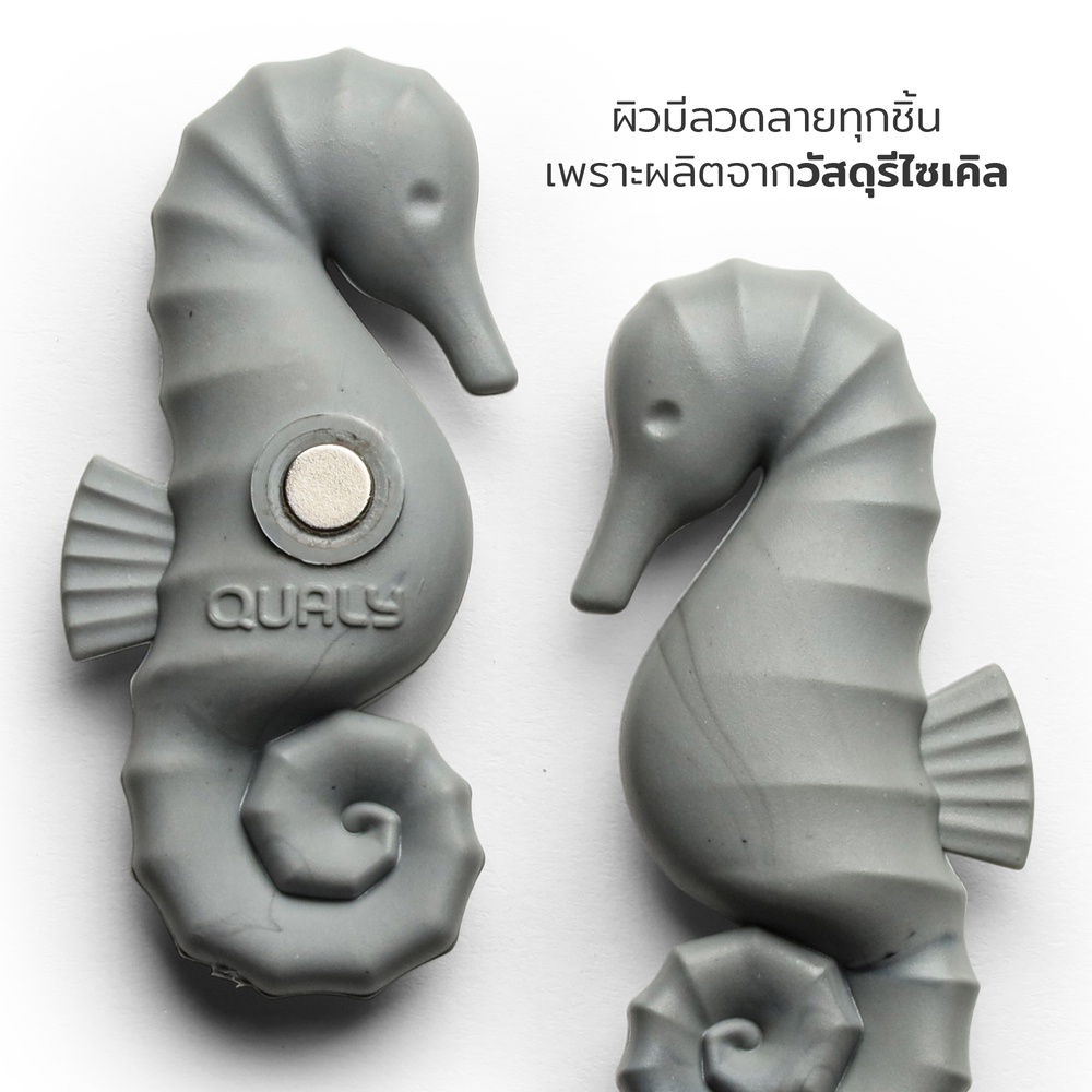 Seahorse Magnet แม่เหล็กติดตู้เย็น ดีไซน์ ม้าน้ำ Qualy (ควอลี่)