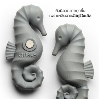 Qualy Design - Seahorse Magnet - แม่เหล็ก แรงสูง รุ่นม้าน้ำ แม่เหล็กติดโน๊ต แม่เหล็กติดตู้เย็น