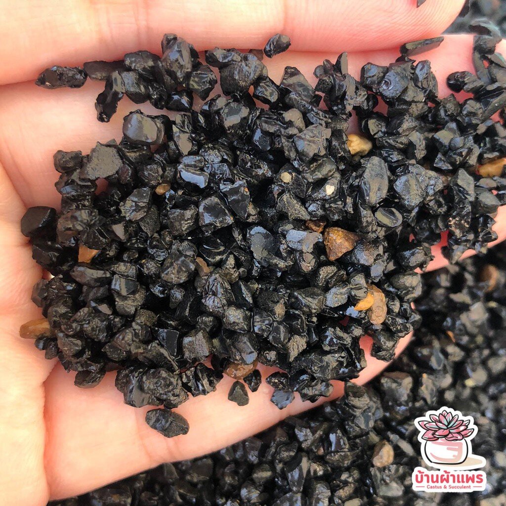 [ 1 กก. ] หินนิลสีดำ หินโรยหน้ากระถาง แคคตัส กระบองเพชร ไม้อวบน้ำ - รูปที่ 4