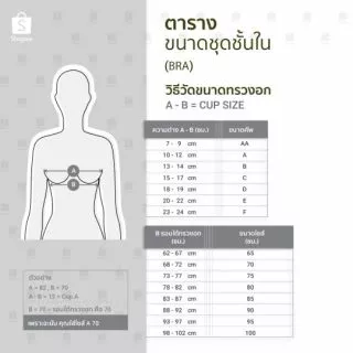 เกาะอกดันทรง อกชิด ทรงสวย Miracle เสื้อในไร้โครง