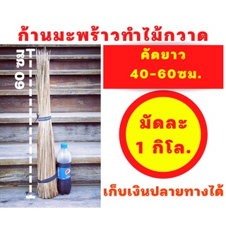 ก้านทางมะพร้าวทำไม้กวาด ยาว 40ซม ถึง 60ซม 1 กิโลกรัม ก้านเหลาใหม่ ไม่ผุ ไม่ชื้น ไม่ขึ้นรา เก็บเงินปลายทางได้