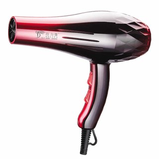 2in1ไดร์เป่าผม DELIYA 8080 2200W Hair dryer(ปรับความร้อน&amp;แรงลมได้) ไดร์เป่าผม 8080