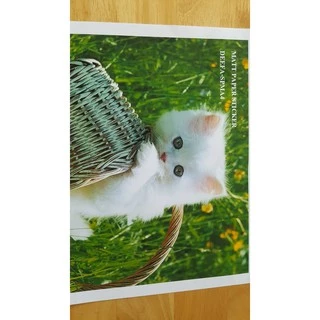 สติ๊กเกอร์กระดาษขาวด้าน กันน้ำ A4 (50 แผ่น) หนา 100 แกรม สำหรับ INKJET (MATT PAPER STICKER INKJET, รหัส DEEFA-SPMA4)