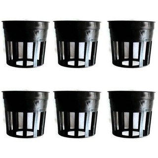 Papamami Pots Round Black Plastic กระถางพลาสติกกลมสีดำ 1 นิ้ว