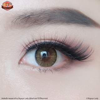 Lily 2 tone (Brown) ค่าสายตา 0.00-10.00 คอนแทคเลนส์