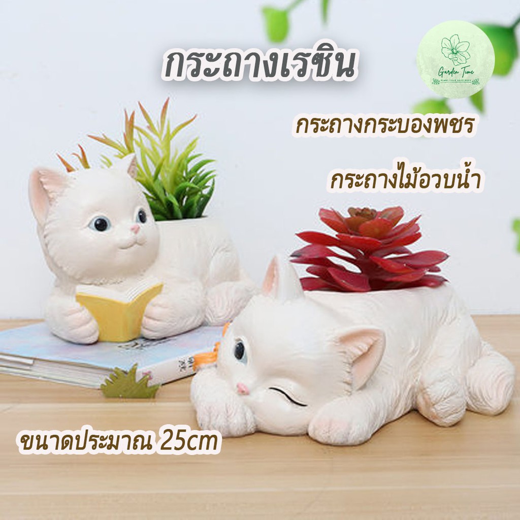 Restock กระถางเรซิ่น ลายน้องแมว ขนาดประมาณ 25cm กระถางไม้อวบน้ำ กระถางแคตตัส กระถางกุหลาบหิน ของแต่งบ้าน แมว