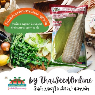 ADV ถุง1 กก. 🔥ใหม่🔥เมล็ดพันธุ์ข้าวโพดข้าวเหนียว บิ๊กบอม 1 กก. ตราตะวันต้นกล้า