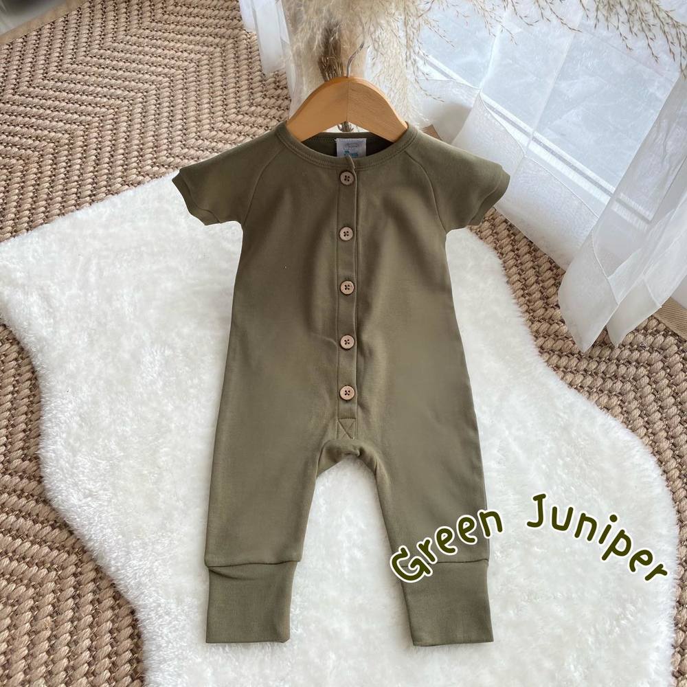 รูปภาพ 3