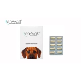 Renavast Dog Supplement อาหารเสริมบำรุงไตสำหรับสุนัข 10 แคปซูล