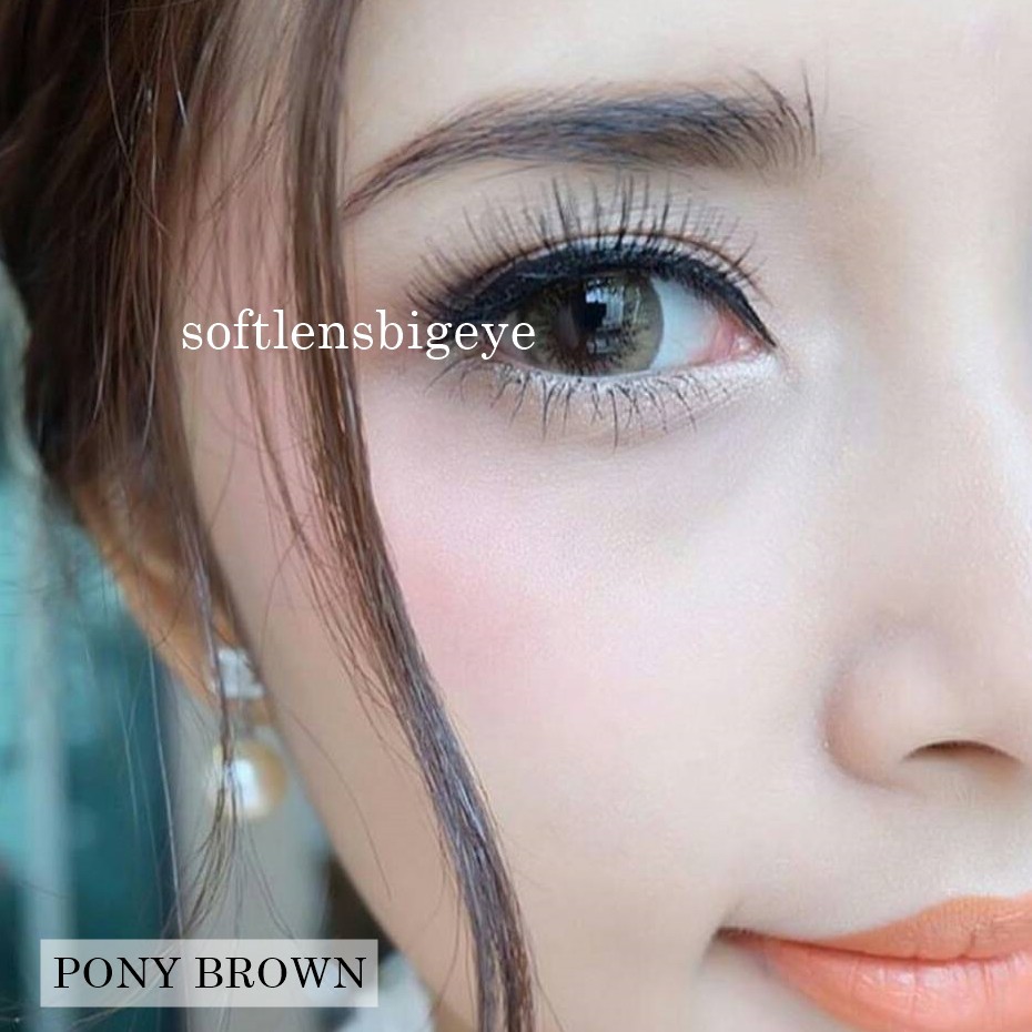 pretty doll pony brown