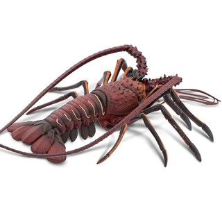 Safari Ltd. : SFR100076  โมเดลสัตว์ Spiny Lobster