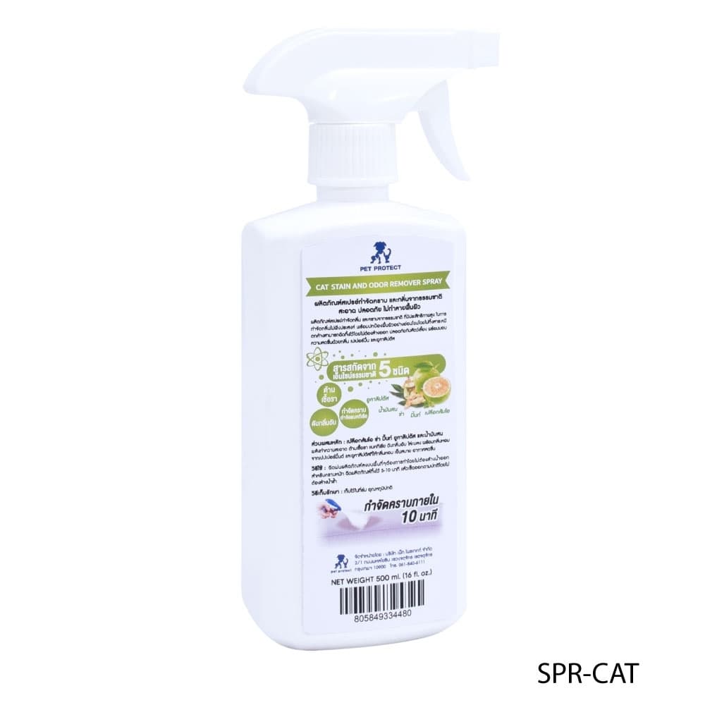 รูปภาพ 2