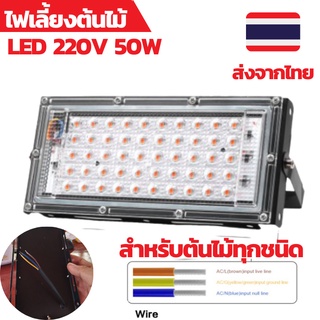 ไฟเลี้ยงต้นไม้ ไฟปลูกต้นไม้ led 50วัตต์ ไฟปลูกกัญชา led grow ไฟปลูกพืชในร่ม หลอดไฟเลี้ยงต้นไม้