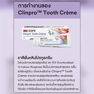 ยาสีฟัน 3M Clinpro Tooth Creme รสสเปียร์มิ้นต์ - Spearmint Exp. 2028