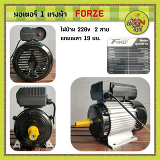 มอเตอร์ 1 แรงม้า ไฟบ้าน 220v  1 เฟส  1,450 รอบ/นาที (FORZE)  แกนเพลา  19 มม.