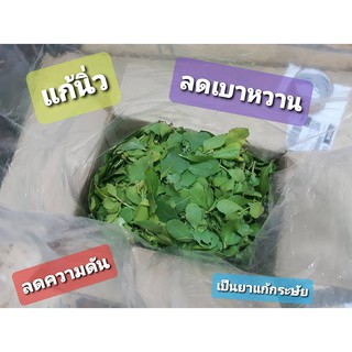 !มีของพร้อมส่ง! ใบขลู่สด สำหรับทำชารักษาโรคนิ่ว เบาหวาน ฯลฯ