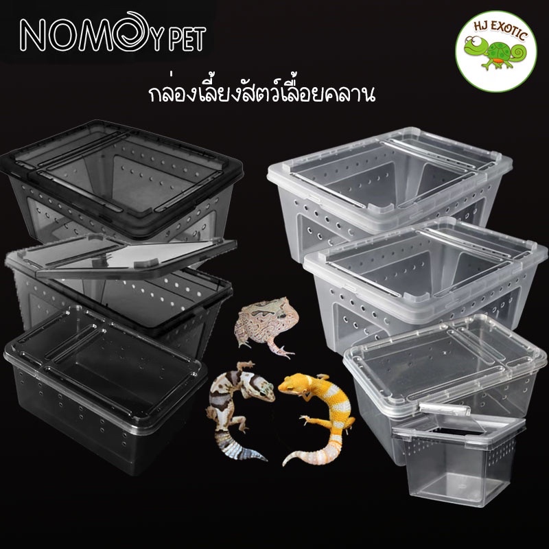 กล่องเลี้ยงสัตว์ Nomoy กล่องเลี้ยงสัตว์เลื้อยคลาน กบ ตุ๊กแก งู แมงมุม