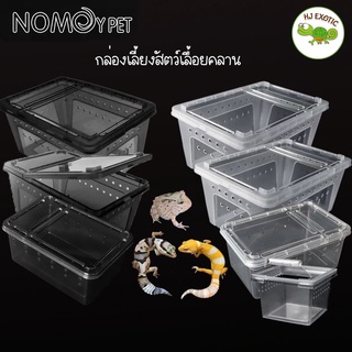กล่องเลี้ยงสัตว์ Nomoy กล่องเลี้ยงสัตว์เลื้อยคลาน กบ ตุ๊กแก งู แมงมุม