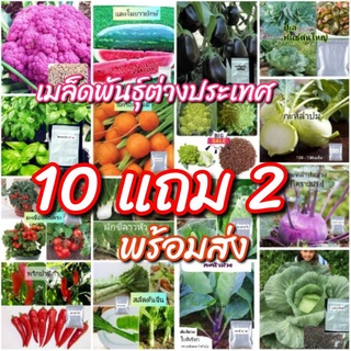 เมล็ดผัก แปลกๆ ต่างประเทศ 🌱เมล็ดผัก ราคาถูก เมล็ดพันธุ์