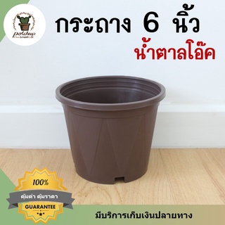 กระถางต้นไม้6นิ้วสีน้ำตาลโอ๊ค กระถางพลาสติก กระถางต้นไม้ กระถางดอกไม้ กระถางเดซี่ กระถางเดหลี กระถางริบบิ้นชาลี