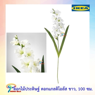 IKEA ต้นไม้ปลอม  ดอกไม้ประดิษฐ์, ดอกแกลดิโอลัส, ขาว, 100 ซม.