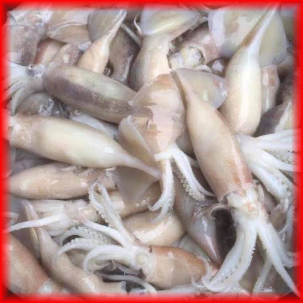 My Image 24