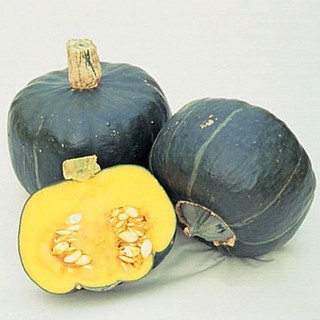 เมล็ดพันธุ์ ฟักทอง บัตเตอร์คัพ (Burgess Buttercup Squash Seed) บรรจุ 5 เมล็ด