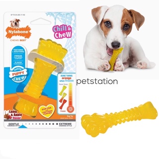 Nylabone Chill &amp; Chew ของเล่นขัดฟันแช่เย็นได้