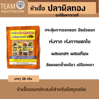 หัวเชื้อปลานิลทองอะมิโนพาวเวอร์ เร่งราก เร่งการแตกใบ กระตุ้นการออกดอก ติดผลดกขั้วเหนียว