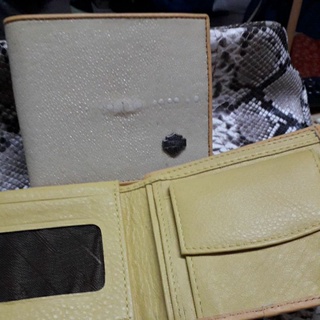 stingray  wallet  กระเป๋าหนังปลากระเบนแท้beige+++++แพค4 ใบ