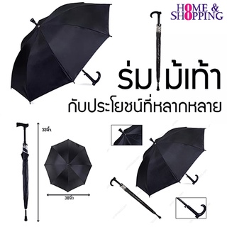 ร่มไม้เท้าช่วยพยุงในการเดิน