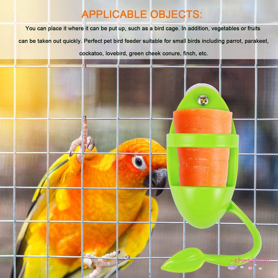 Parrot Bird Feeder ปลาหมึกกระดูกชั้นวางอาหารนกของเล่น Parrot Supplies
