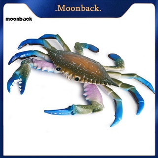 &lt;moonback&gt; โมเดลปูจําลอง PVC รูปสัตว์ทะเล ของเล่นเสริมการเรียนรู้ สําหรับเด็ก