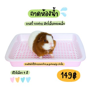 pp.guineapigs ถาดห้องน้ำแกสบี้ กระต่าย สัตว์เลี้ยงขนาดเล็ก