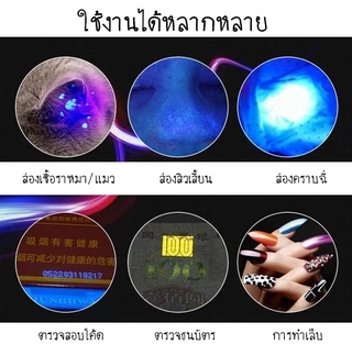FurryCuddle พร้อมส่ง ไฟฉายแสง uv สำหรับตรวจเชื้อราในสัตว์เลี้ยง ยืนยันจุดที่เกิดเชื้อรา ไฟฉายเชื้อราแมว สิวเสี้ยน MIP77