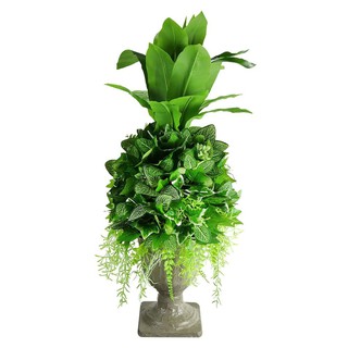 กระถางต้นไม้ประดิษฐ์โรมัน MT050H ไซส์ M 75 ซม. ARTIFICIAL POTTED PLANT WITH POT SPRING 30X30X75CM