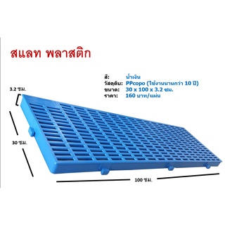 แผ่นสแลทพลาสติกปูพื้น (Slate Plastic) สำหรับ ปูพื้น กรง สัตว์เลี้ยง วางลองสินค้า วางกระถางตันไม้ size 30*100*3.2 ซม.