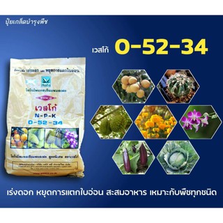 ปุ๋ยเกล็ด 0-52-34 หยุดการแตกใบอ่อน  สะสมอาหาร เร่งออดอก