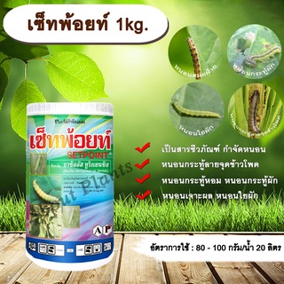 เซ็ทพ้อยท์ 1kg. BT เชื้อแบคทีเรีย บาซิลลัส ทูริงเยนซิส  สารกำจัดหนอน สารชีวภัณฑ์ หนอนกระทู้ลายจุดข้าวโพด หนอนใย