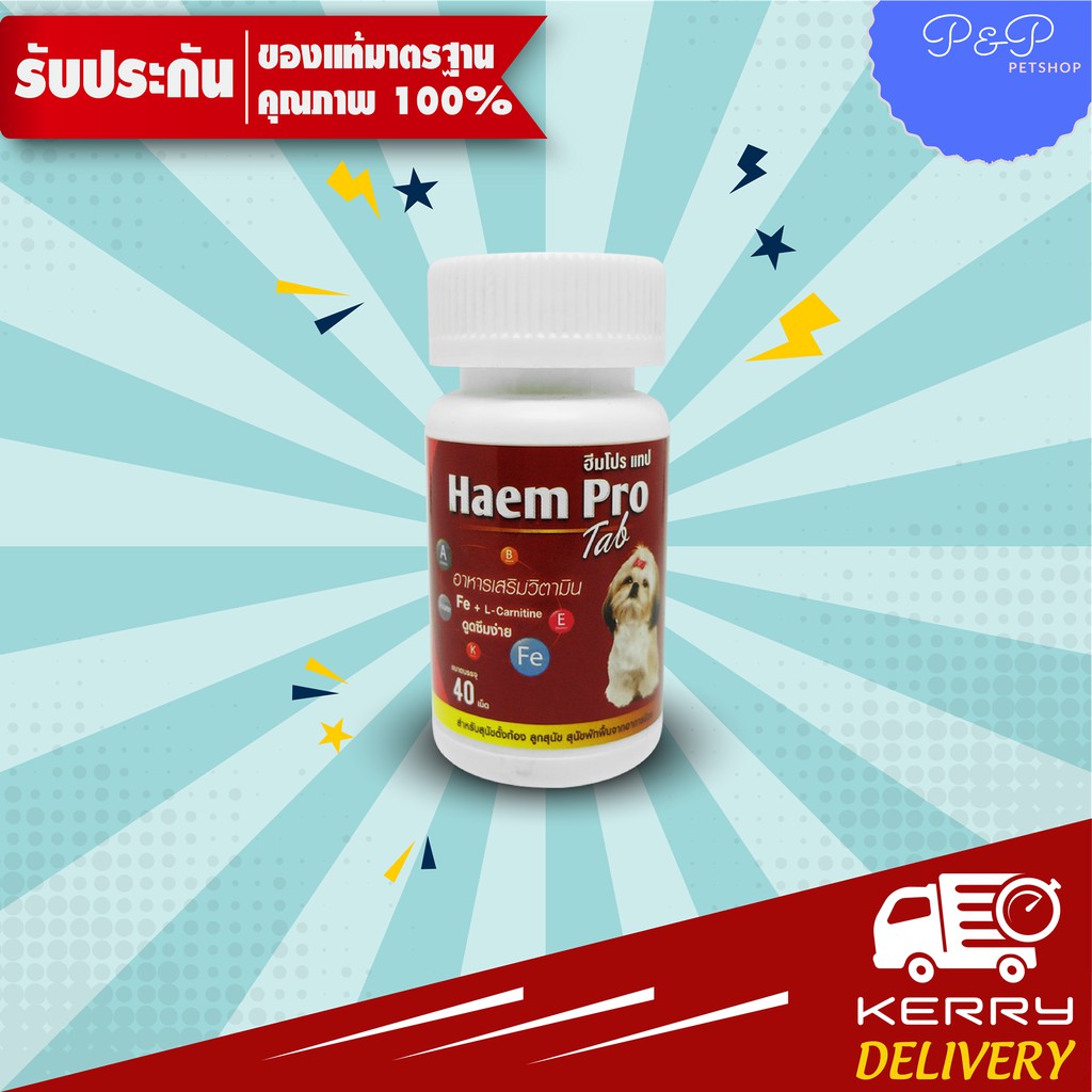 Haem Pro tab 40 เม็ด (2 กระปุก) บำรุงเลือดสุนัข